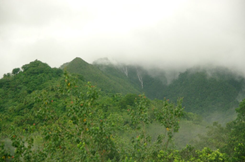 Cuchilla del Toa 4